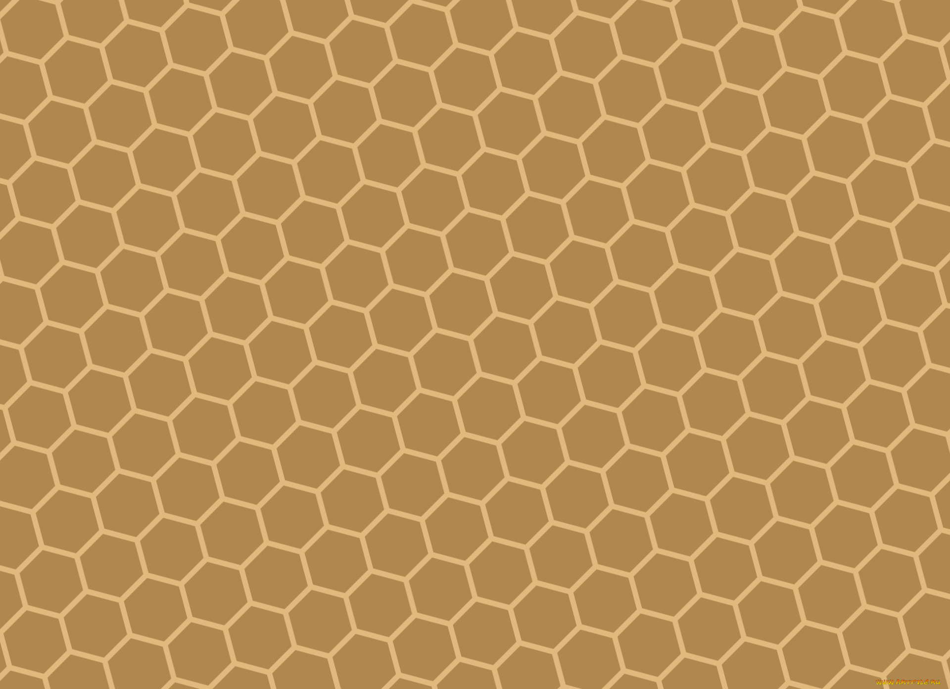 ,  , graphics, , , 